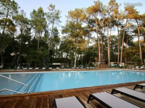 Chalet en bord de plage